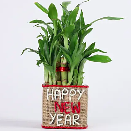 New year bamboo